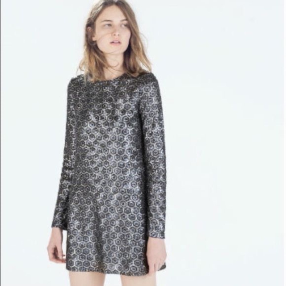 Zara Sequin Dress